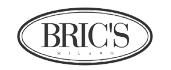 BRIC'S