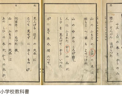 小学校教科書