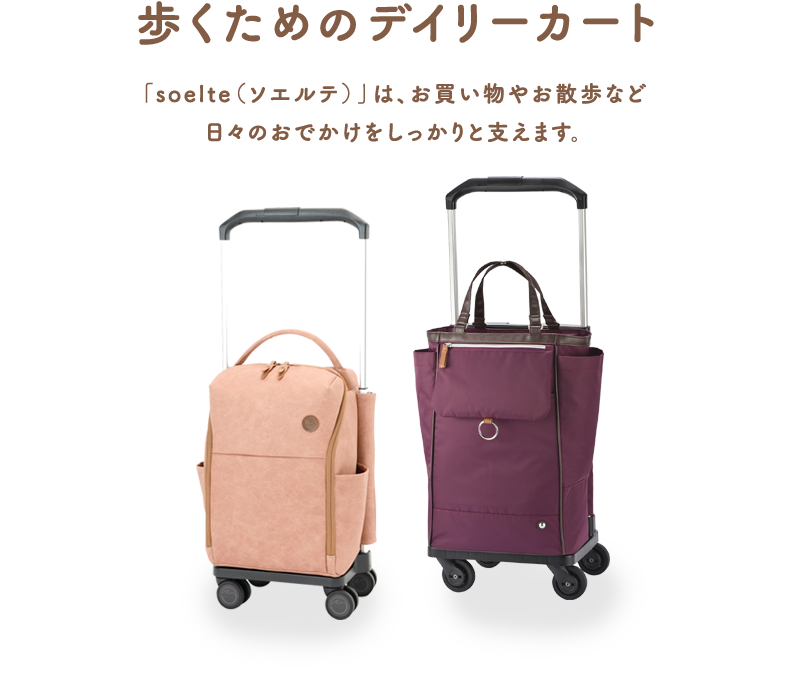 楽天市場】ACE soelte ソエルテ リゾルート 12リットル 機内